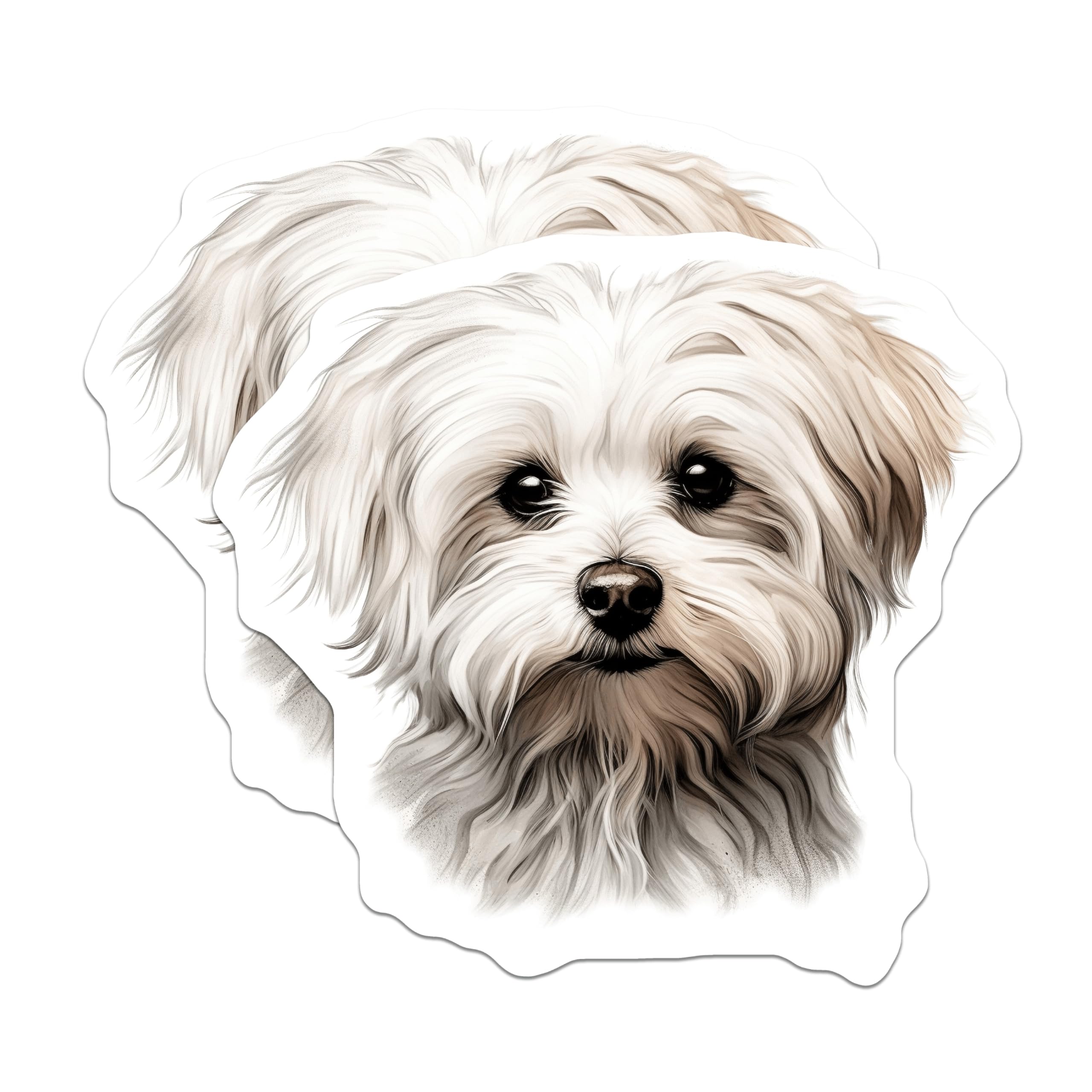 (2 Pack) Maltese Dog Magnets - Fluffy White Puppy Art - Dog Lover Kitchen Decor - 5 Inches On Longest Side - Thick Durable Magnet - Made in USA - MAG24428
