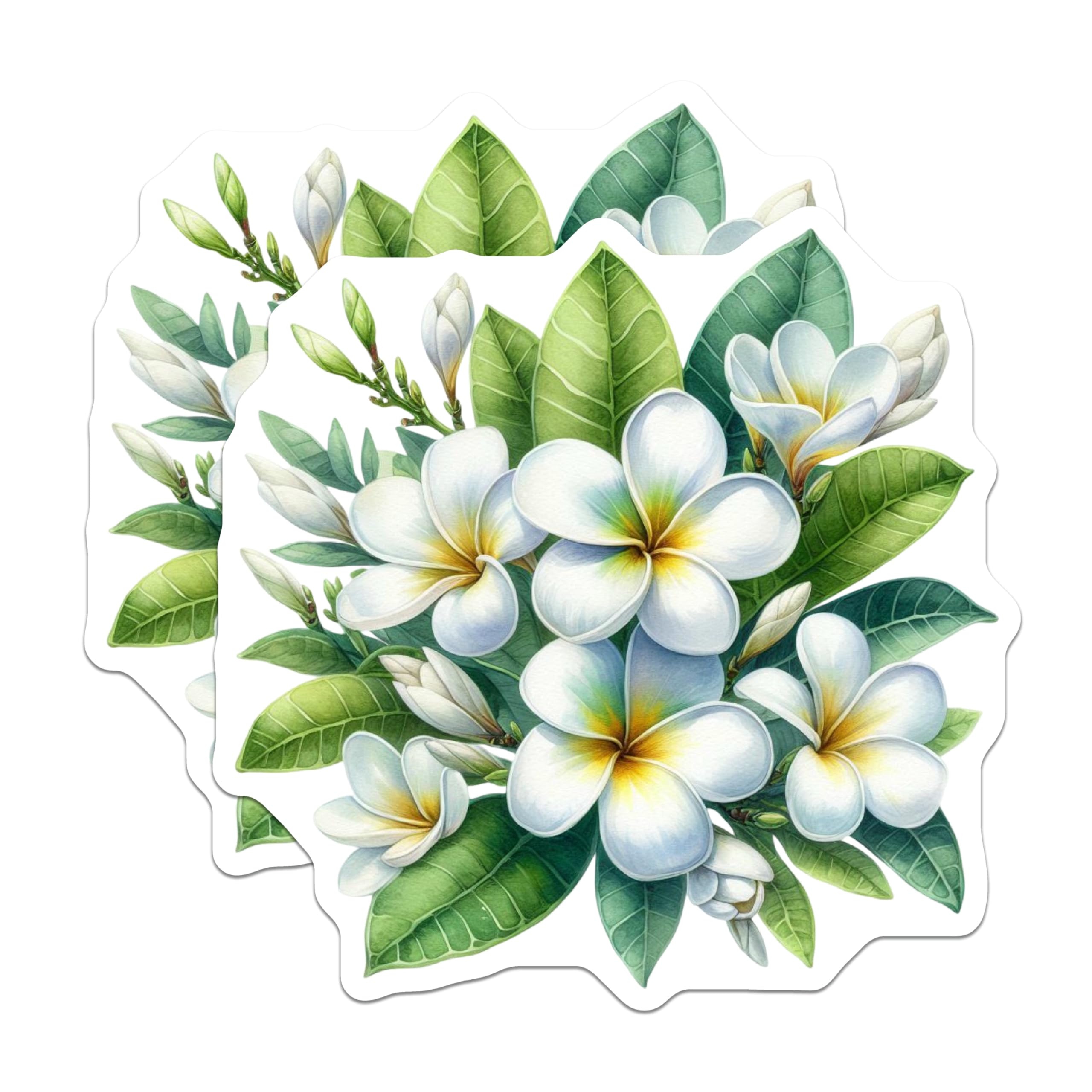 (2 Pack) Plumeria Flower Magnets - Tropical Hawaiian Floral Decor - Elegant Botanical Art - Refrigerator Locker Magnets - 5 Inches On Longest Side - Thick Durable Magnet - Made in USA - MAG23080