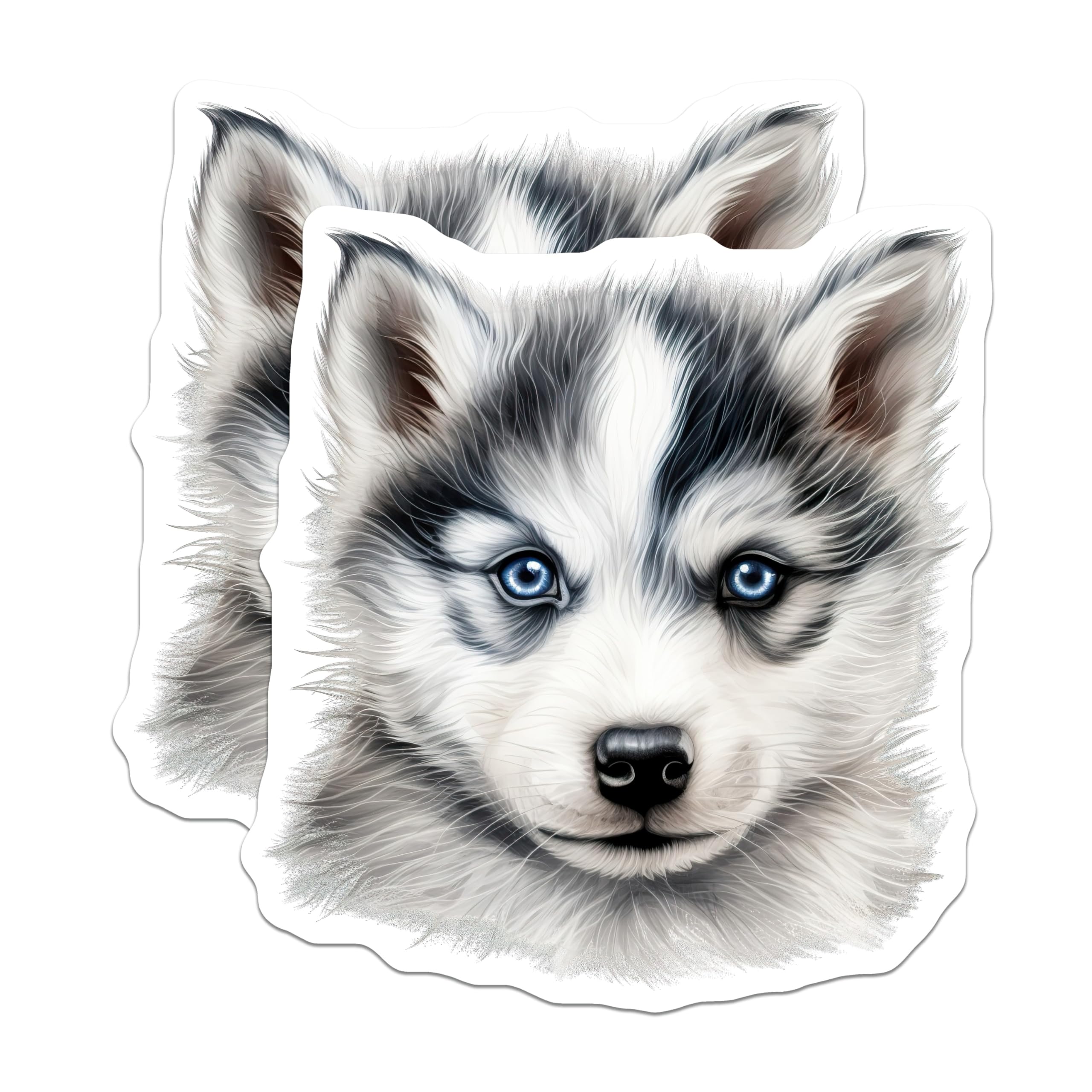 (2 Pack) Siberian Husky Puppy Magnets - Blue Eyed Dog Fridge Decor - Cute Animal Lover Kitchen Display - 5 Inches On Longest Side - Thick Durable Magnet - Made in USA - MAG26393