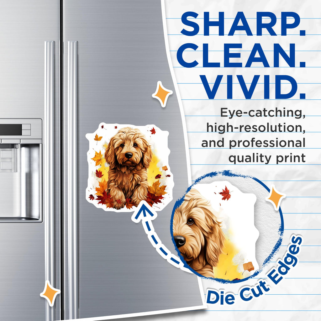 (2 Pack) Cockapoo Dog Magnets - Fluffy Puppy Refrigerator Decor - Autumn Maple Leaves Pet Lover Magnet Set - 5 Inches On Longest Side - Thick Durable Magnet - Made in USA - MAG23856