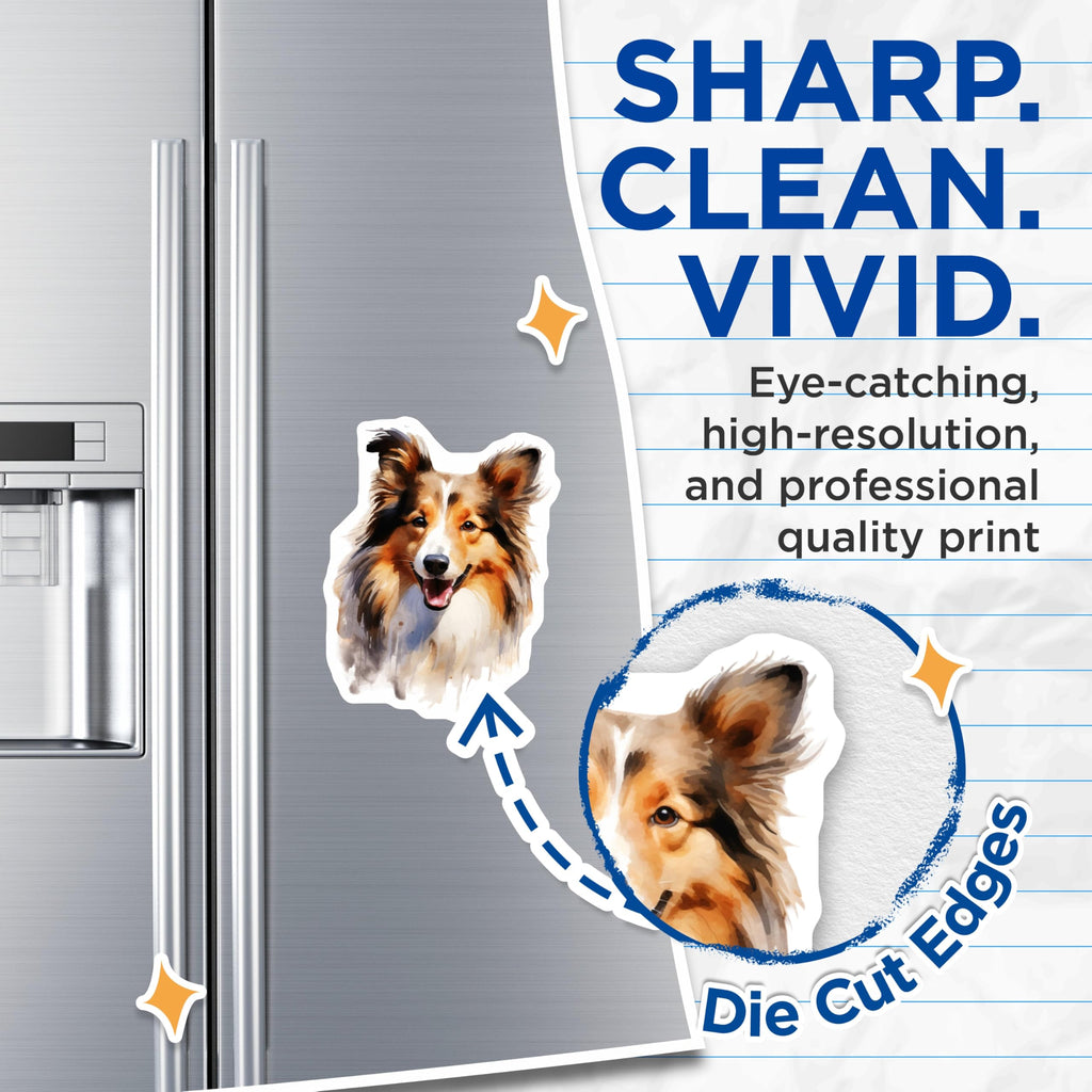 (2 Pack) Sheltie Dog Magnets - Watercolor Shetland Sheepdog Art - Dog Mom Fridge Decor - Pet Owner Kitchen Accent - 5 Inches On Longest Side - Thick Durable Magnet - Made in USA - MAG30779