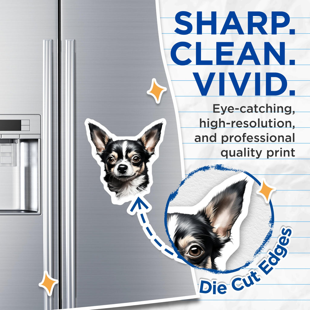 (2 Pack) Long Haired Chihuahua Magnets - Black White Tan Dog Lover Decor - Pet Owner Car Fridge Accessories - 5 Inches On Longest Side - Thick Durable Magnet - Made in USA - MAG23905
