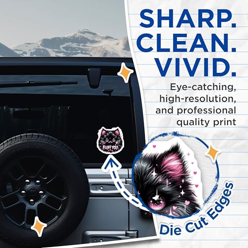 (2 Pack) Fluff You Cat Stickers - Funny Cat Stickers - Cute Sticker for Laptop Water Bottle - 5" On Longest Side - Sticks to Smooth Flat Surfaces - Made in USA - BMCS4595