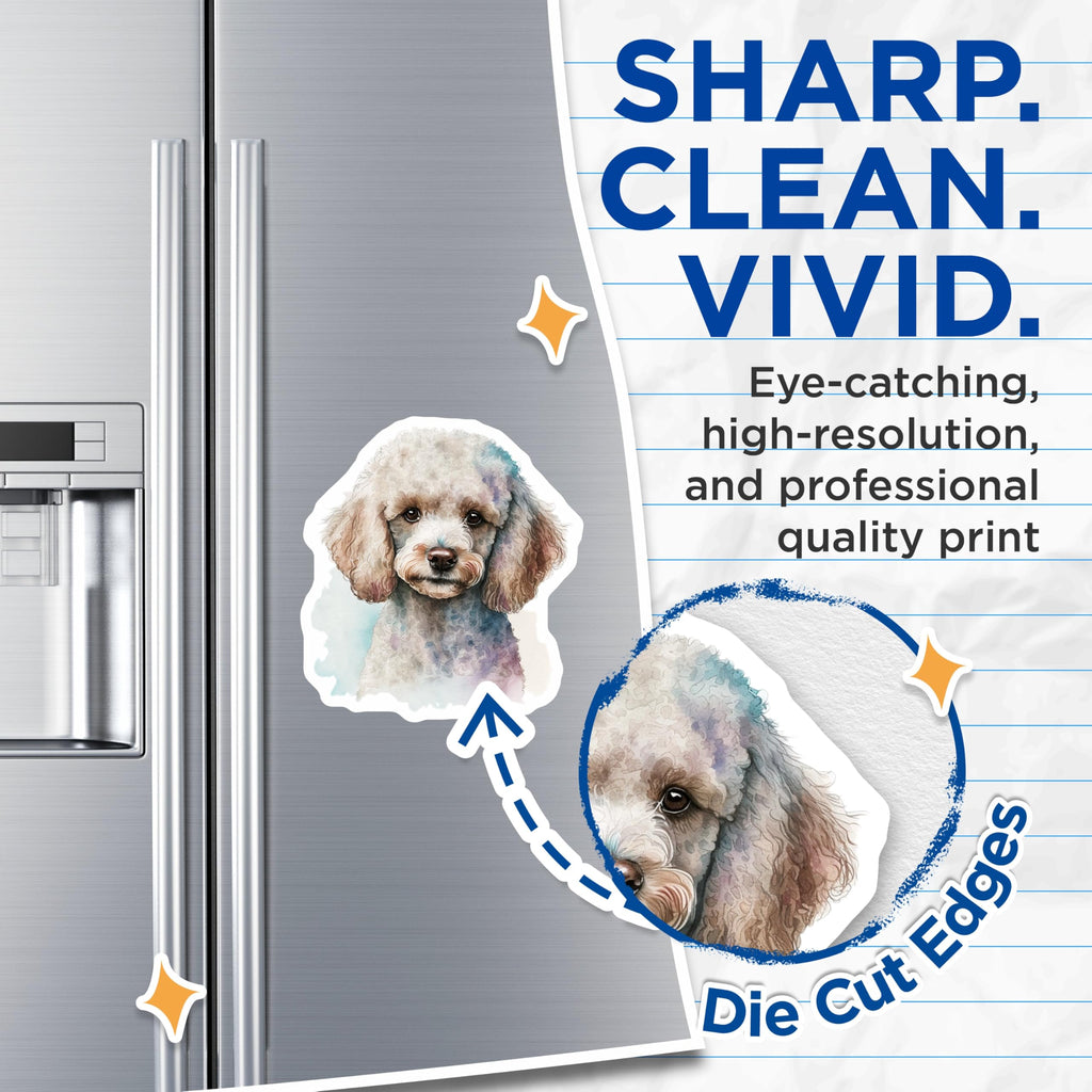 (2 Pack) Poodle Dog Magnets - Cute Animal Decor - Fridge Magnets for Poodle Lovers - 5" On Longest Side - Premium Magnet - for Cars, Refrigerators, Toolboxes, Lockers - Made in USA - MAG15742