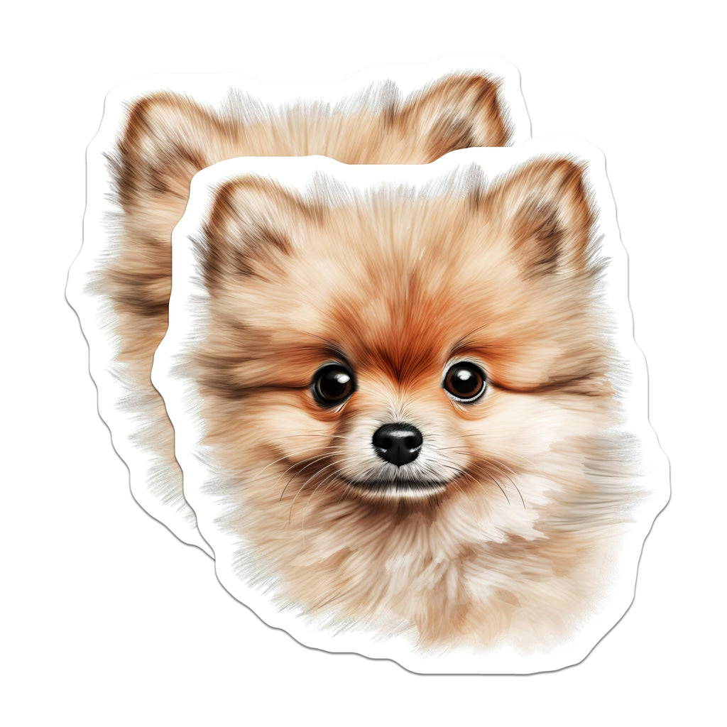 (2 Pack) Pomeranian Dog Magnets - Fluffy Puppy Art - Pet Owner Fridge Magnets - 5 Inches On Longest Side - Thick Durable Magnet - Made in USA - MAG26718