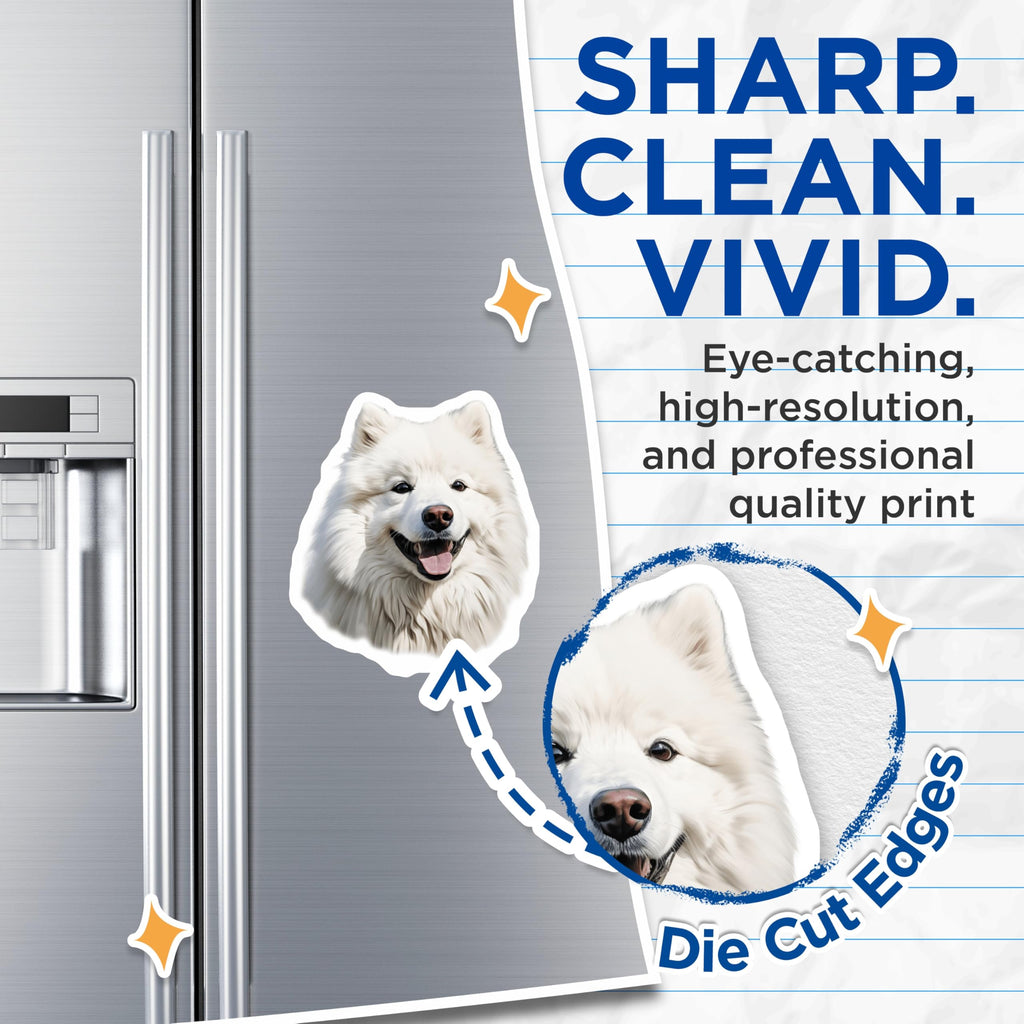 (2 Pack) Samoyed Dog Magnets - Fluffy White Dog Decor - Pet Lover Refrigerator Decor - Cute Animal Collectible - 5 Inches On Longest Side - Thick Durable Magnet - Made in USA - MAG28857