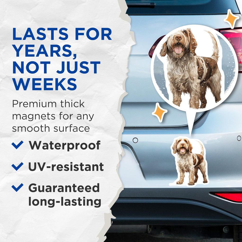(2 Pack) Spinone Italiano Dog Magnets - Realistic Canine Art - Pet Lover Fridge Decor - 5 Inches On Longest Side - Thick Durable Magnet - Made in USA - MAG29776