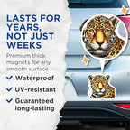 (2 Pack) Leopard Animal Magnets - Big Cat Art - Wild Animal Fridge - 5" On Longest Side - for Cars, Fridges, Toolboxes - Made in USA - MAG4518