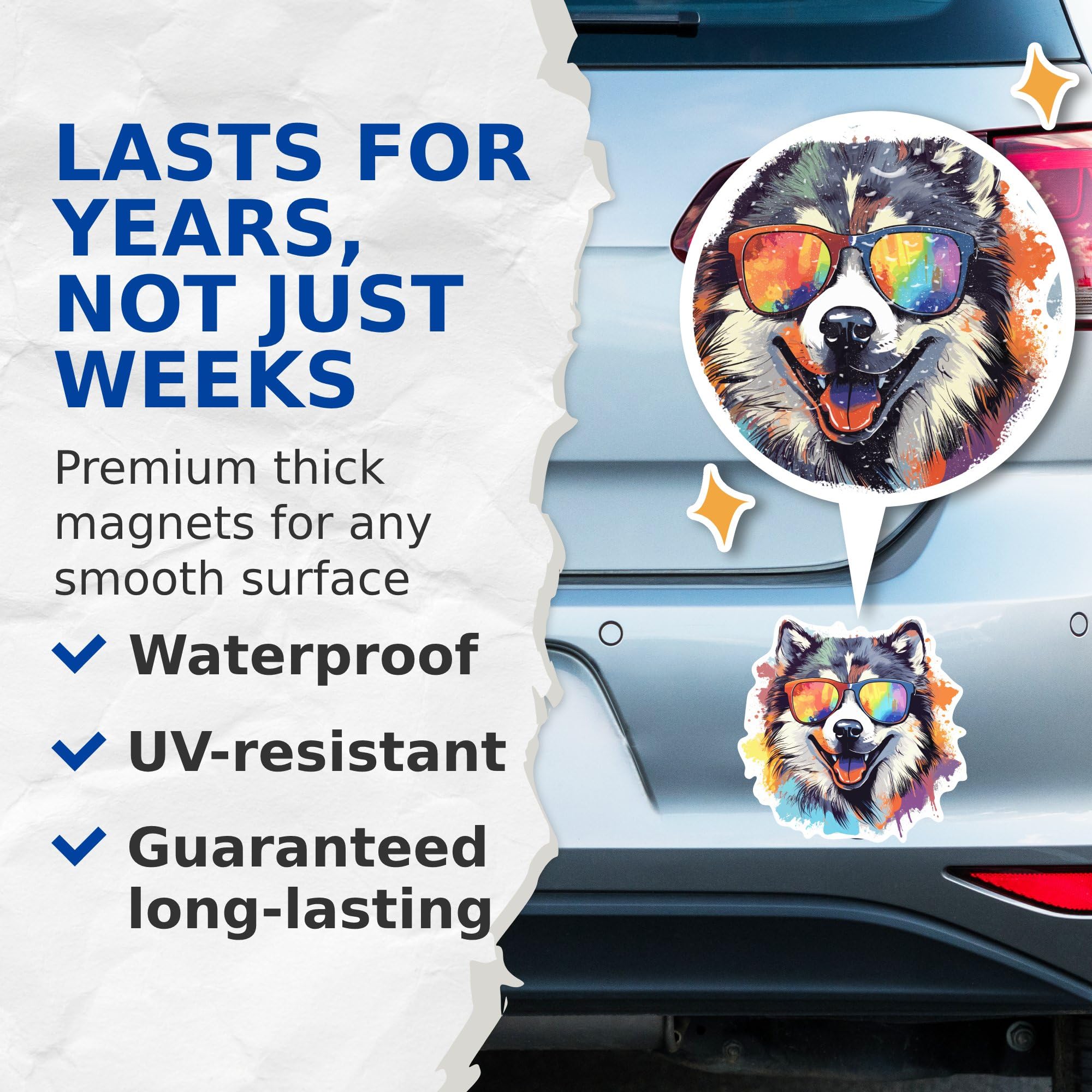 (2 Pack) Alaskan Malamute Dog Magnets - Alaskan Malamute with Sunglasses - Choose FromOver 100 Dog Breeds - 5" On Longest Side - Premium Magnet - Made in USA - MAG0302