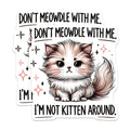 (2 Pack) Funny Cat Stickers - Sassy Cat Meme - I'm Not Kitten Around - 5" On Longest Side - Sticks to Smooth Flat Surfaces - Made in USA - BMCS15475