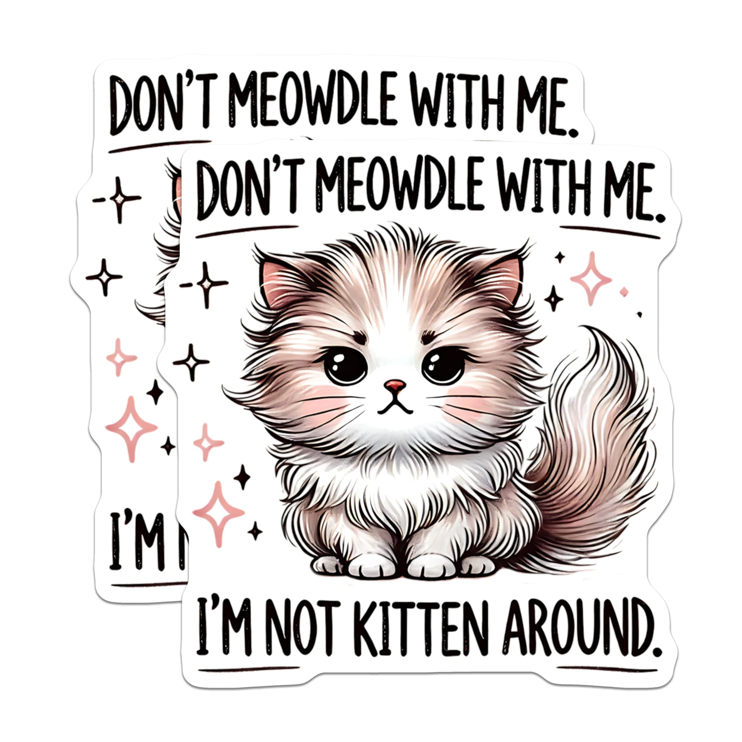 (2 Pack) Funny Cat Stickers - Sassy Cat Meme - I'm Not Kitten Around - 5" On Longest Side - Sticks to Smooth Flat Surfaces - Made in USA - BMCS15475