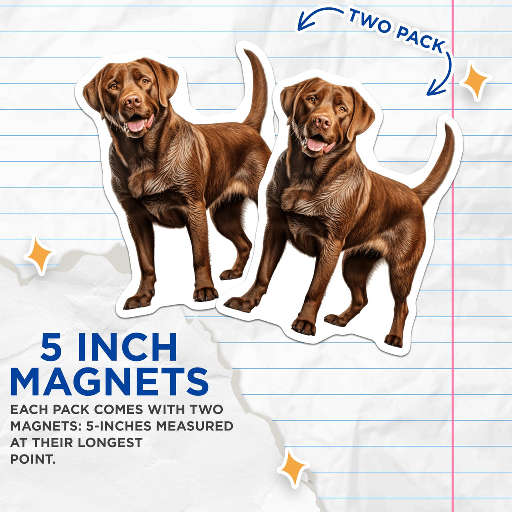 (2 Pack) Chocolate Labrador Magnets - Realistic Brown Lab Decor - Dog Lover Fridge Art - Pet Parent Owner Vehicle - 5 Inches On Longest Side - Thick Durable Magnet - Made in USA - MAG25778
