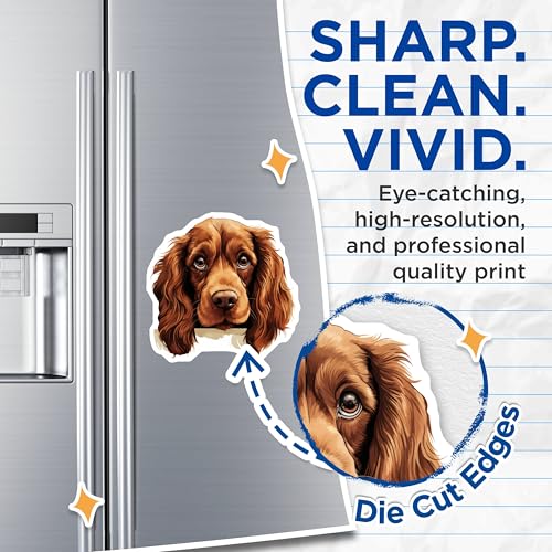 (2 Pack) Cute Dog Face Magnet - Dog Lovers Decor - 5" On Longest Side - Sticks to Smooth Flat Surfaces - Made in USA - MAG10290