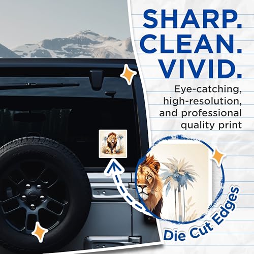 (2 Pack) Lion Art Stickers - Majestic Lion - Animal Illustration - 5" On Longest Side - Sticks to Smooth Flat Surfaces - Made in USA - BMCS8696 - Wildlife Decor