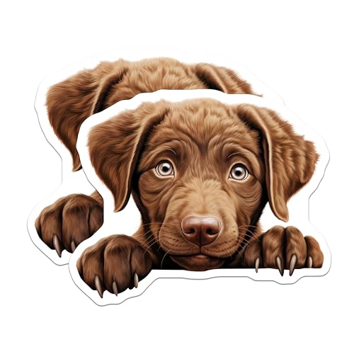 (2 Pack) Adorable Puppy Stickers - Cute Dog - Animal Lover - 5" On Longest Side - Sticks to Smooth Flat Surfaces - Made in USA - BMCS9928