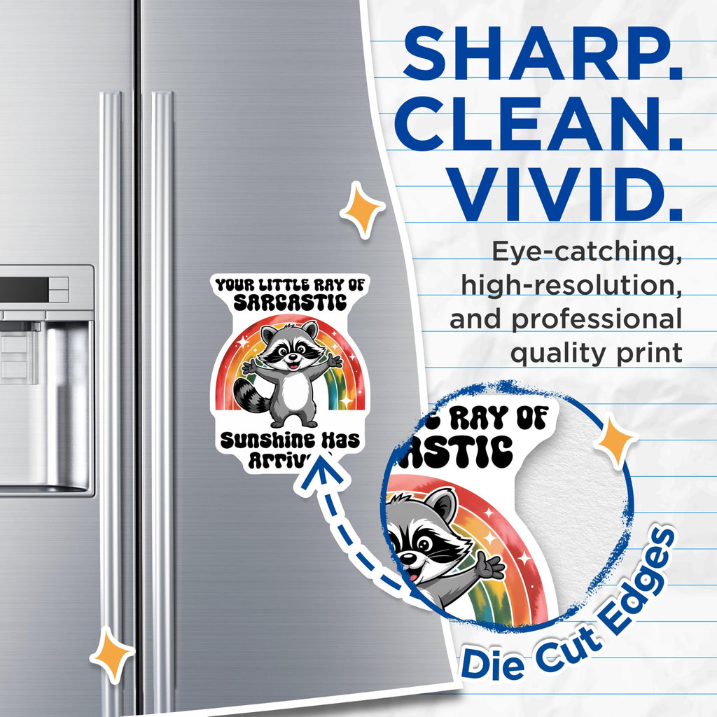 (2 Pack) Sarcastic Raccoon Magnets - Rainbow Sunshine Magnet - Cute Animal Magnets - 5" On Longest Side - Premium Magnet - for Cars, Refrigerators, Toolboxes, Lockers - Made in USA - MAG14456