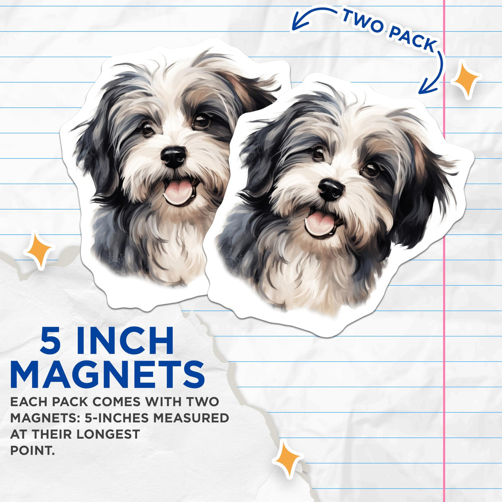 (2 Pack) Shih Tzu Havanese Magnets - Cute Dog Refrigerator Decor - Fluffy Puppy Pet Lover Art - 5 Inches On Longest Side - Thick Durable Magnet - Made in USA - MAG27752