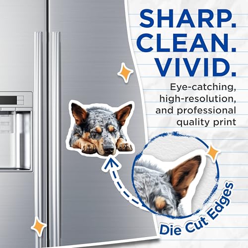 (2 Pack) Adorable Sleeping Dog Magnet - 5" On Longest Side - Sticks to Smooth Flat Surfaces - Made in USA - MAG9837