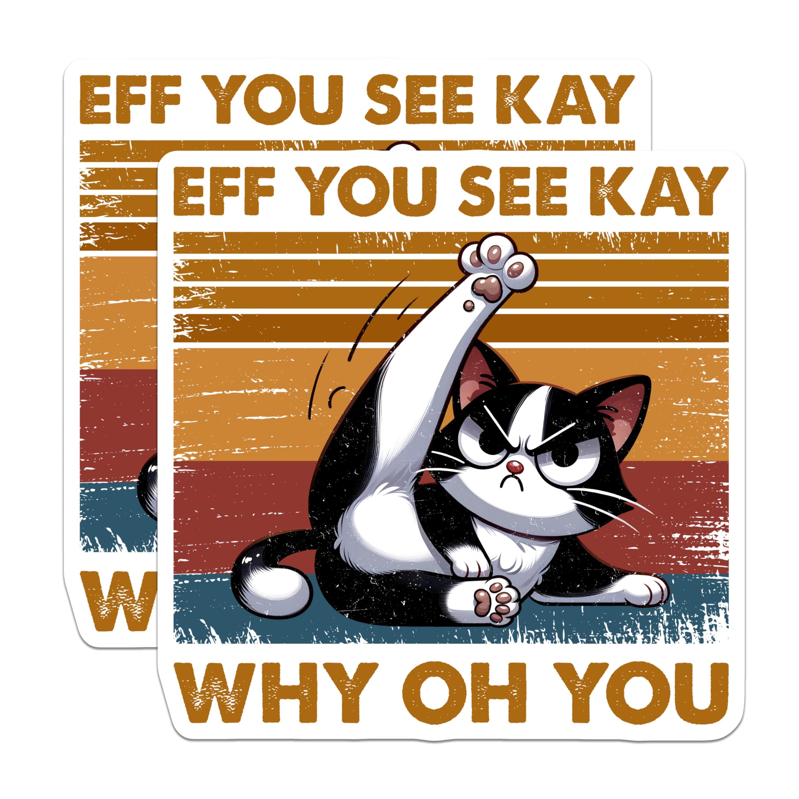(2 Pack) Funny Cat Stickers - Eff You See Kay - Retro Aesthetic - Sassy Cat Humor - Cute Animal - 5" On Longest Side - Sticks to Smooth Flat Surfaces - Made in USA - BMCS5653