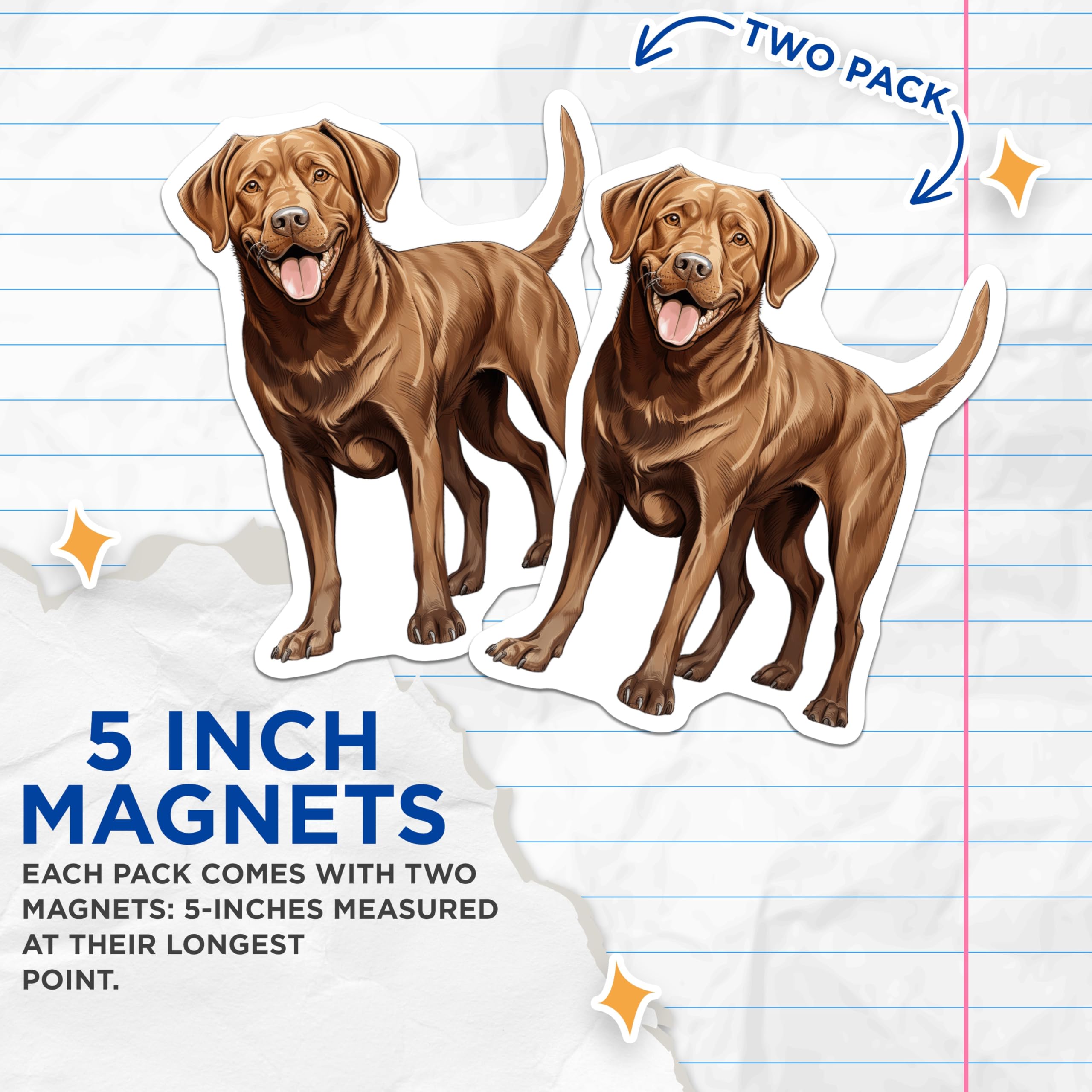 (2 Pack) Chocolate Lab Magnets - Happy Labrador Retriever Artwork - Dog Mom Kitchen Decor - Pet Parent Refrigerator Art - 5 Inches On Longest Side - Thick Durable Magnet - Made in USA - MAG25537