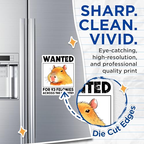 (2 Pack) Funny Animal Decor Magnet - 5" On Longest Side - Sticks to Smooth Flat Surfaces - Made in USA - MAG9666