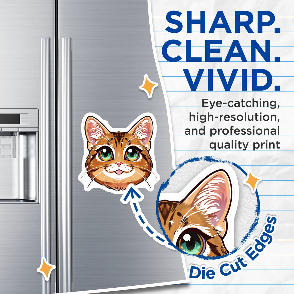 (2 Pack) Kawaii Cat Magnets - Cute Anime Kitten Face - Pet Lover Fridge Locker Decor - 5 Inches On Longest Side - Thick Durable Magnet - Made in USA - MAG38429