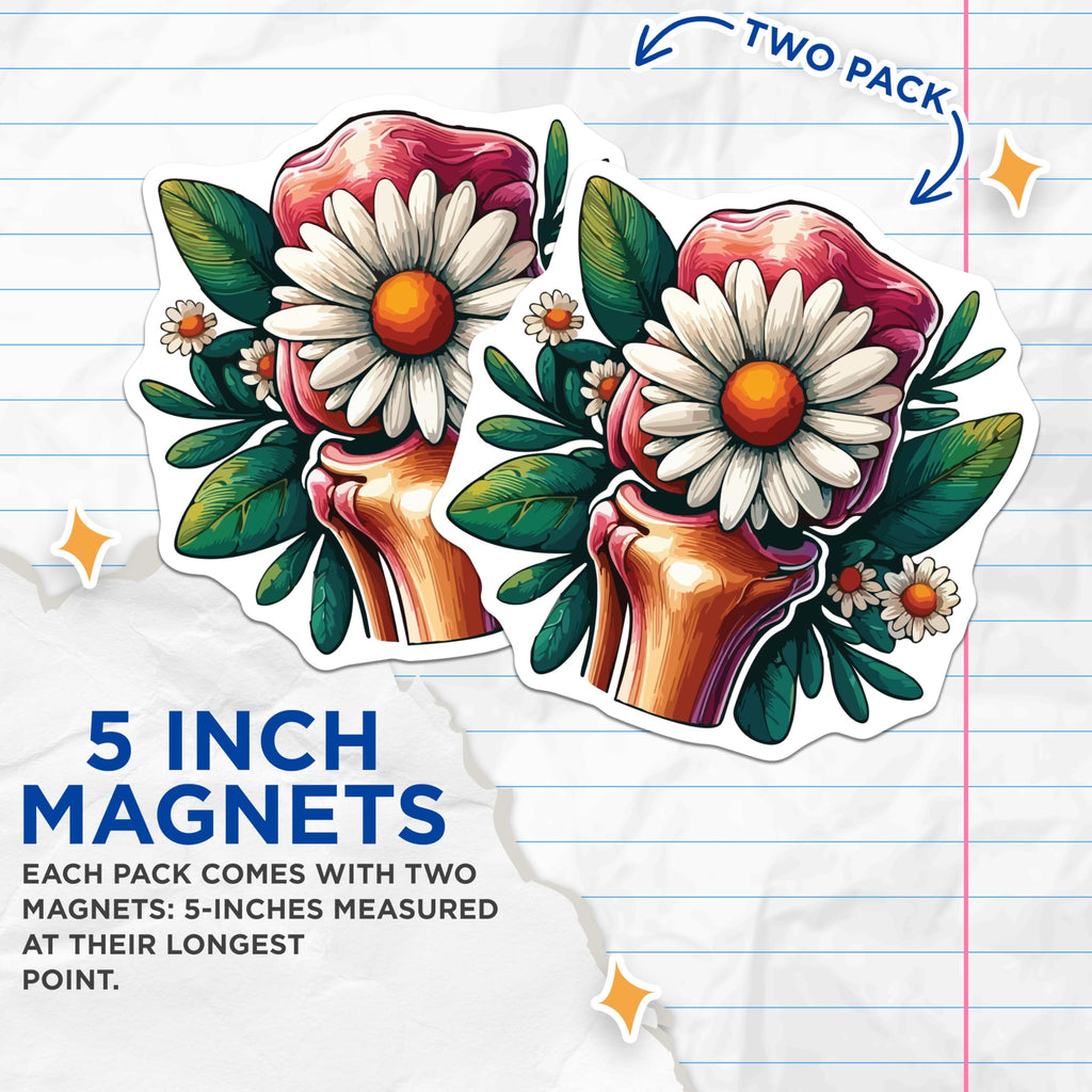 (2 Pack) Daisy Bone Magnets - Floral Anatomy Art - Unique Medical Decor - Healing Botanical Design - 5 Inches On Longest Side - Thick Durable Magnet - Made in USA - MAG19761