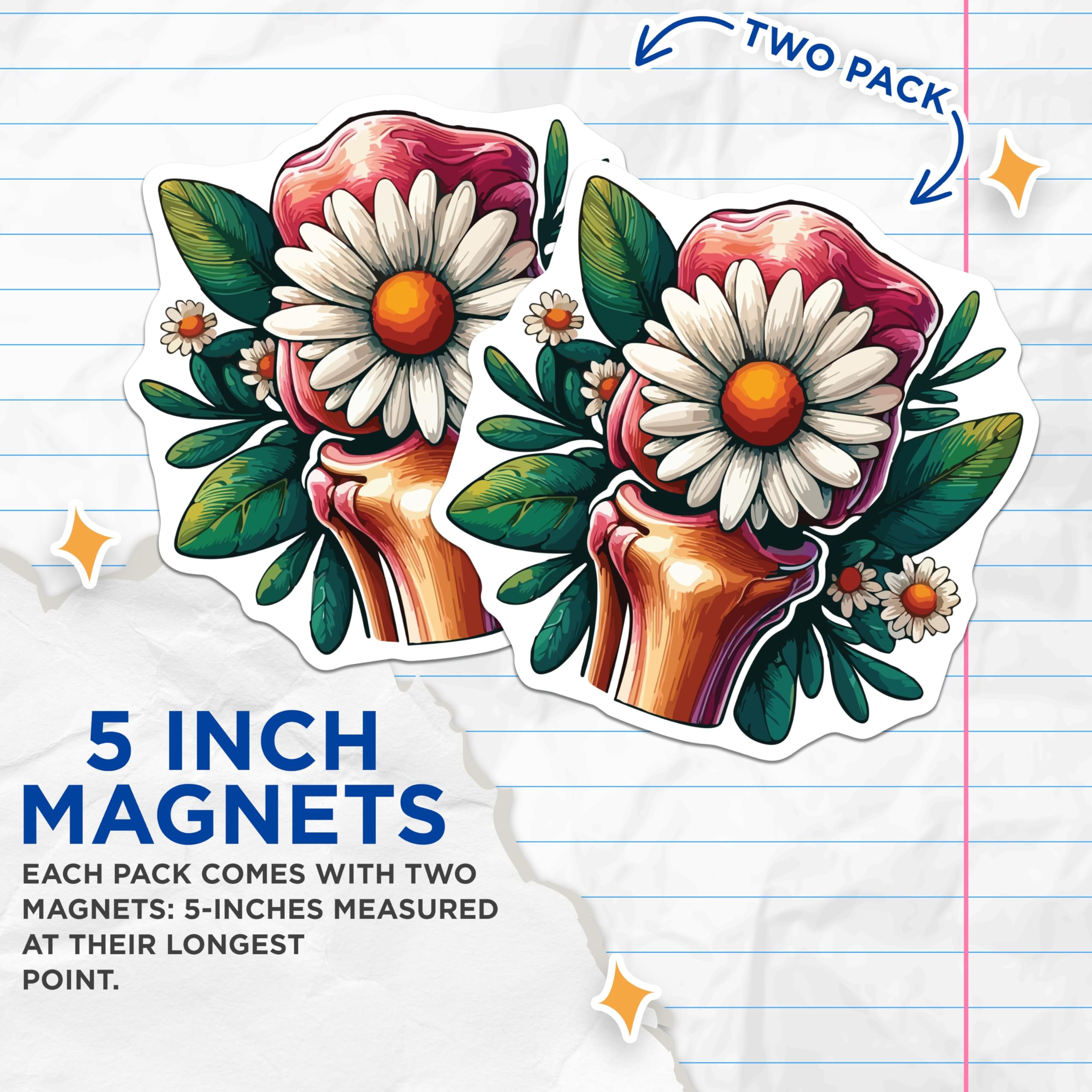 (2 Pack) Daisy Bone Magnets - Floral Anatomy Art - Unique Medical Decor - Healing Botanical Design - 5 Inches On Longest Side - Thick Durable Magnet - Made in USA - MAG19761