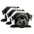 (3 Pack) Yorkshire Terrier Decals - Puppy Dog Stickers - Laptop Decals - 3 Inches On Longest Side - Easy Peel & Apply - Made in USA - 3MCS8578
