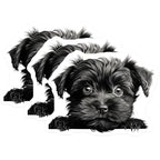 (3 Pack) Yorkshire Terrier Decals - Puppy Dog Stickers - Laptop Decals - 3 Inches On Longest Side - Easy Peel & Apply - Made in USA - 3MCS8578