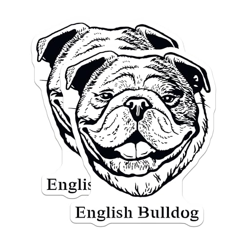 (2 Pack) English Bulldog Magnets - Dog Lover - Animal Art Fridge Accessories - 5" On Longest Side - for Cars, Fridges, Toolboxes - Made in USA - MAG4028