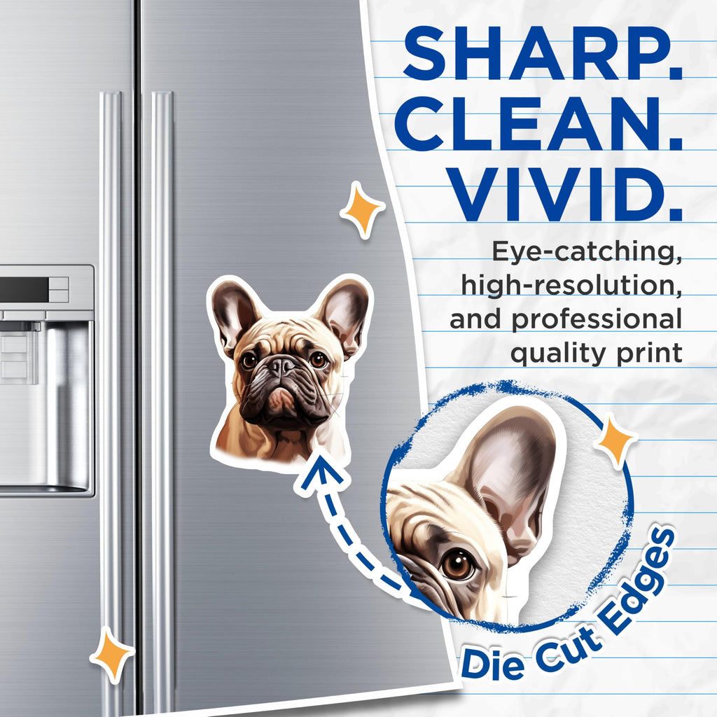 (2 Pack) French Bulldog Magnets - Cute Frenchie Dog Art - Pet Lover Home Decor - 5 Inches On Longest Side - Thick Durable Magnet - Made in USA - MAG27462