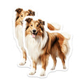 (2 Pack) Rough Collie Dog Magnets - Pet Lover Fridge Decor - Happy Canine Refrigerator Art - 5 Inches On Longest Side - Thick Durable Magnet - Made in USA - MAG24822
