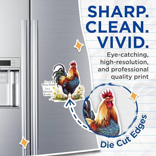 (2 Pack) Seasoned Rooster Magnets - Funny Chicken Magnets - Farm Animal Decor Magnets for Kitchen- 5" On Longest Side - for Fridges, Toolboxes, Cars - Made in USA - MAG2602