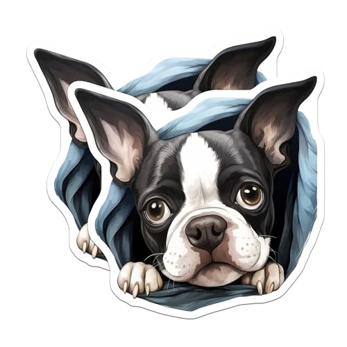 (2 Pack) Animal Lover Fridge Decor Magnet - Kitchen Accessories - 5" On Longest Side - Sticks to Smooth Flat Surfaces - Made in USA - MAG9884