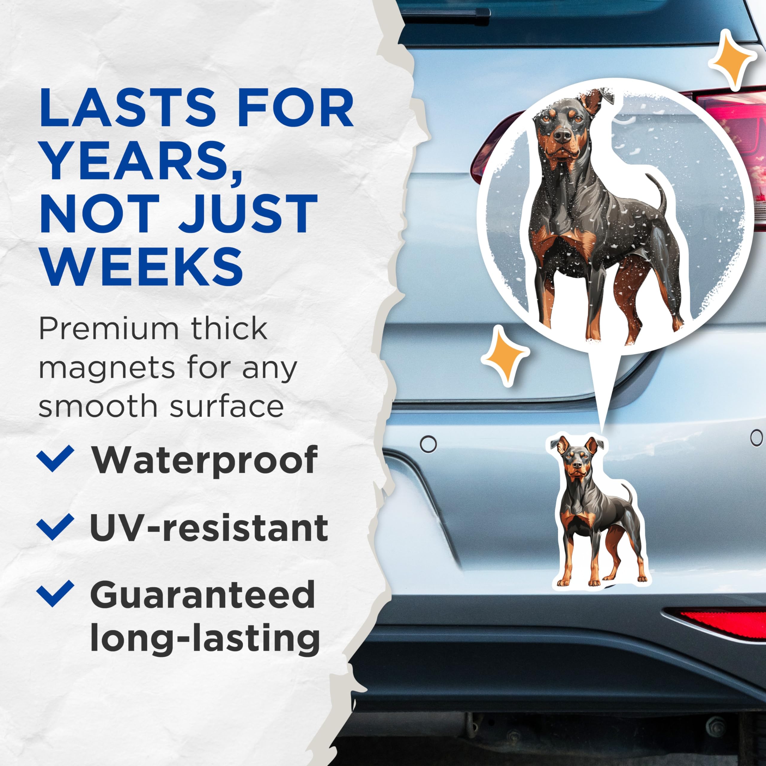 (2 Pack) Doberman Pinscher Magnets - Dog Lover Decor - Pet Owner Fridge Art - 5 Inches On Longest Side - Thick Durable Magnet - Made in USA - MAG29026