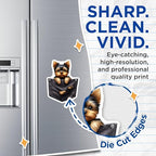 (2 Pack) Cute Yorkshire Terrier Magnets - Dog Magnets - Fridge Magnets - Animal Magnets - Loving Dog - 5" On Longest Side - for Cars, Fridges, Toolboxes - Made in USA - MAG4573