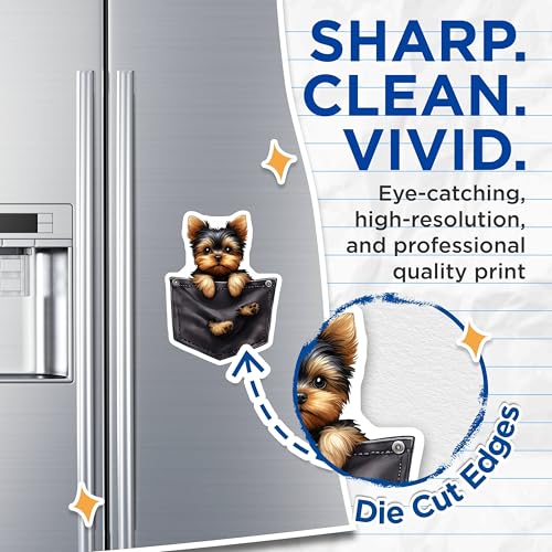 (2 Pack) Cute Yorkshire Terrier Magnets - Dog Magnets - Fridge Magnets - Animal Magnets - Loving Dog - 5" On Longest Side - for Cars, Fridges, Toolboxes - Made in USA - MAG4573