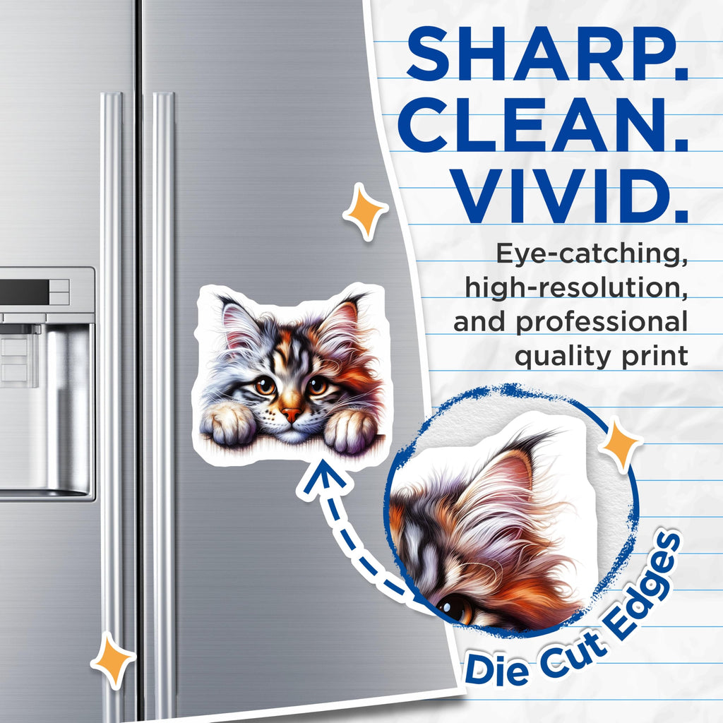 (2 Pack) Maine Coon Cat Magnets - Cute Kitten Decor - Fridge Magnets - 5" On Longest Side - Premium Magnet - for Cars, Refrigerators, Toolboxes, Lockers - Made in USA - MAG15476