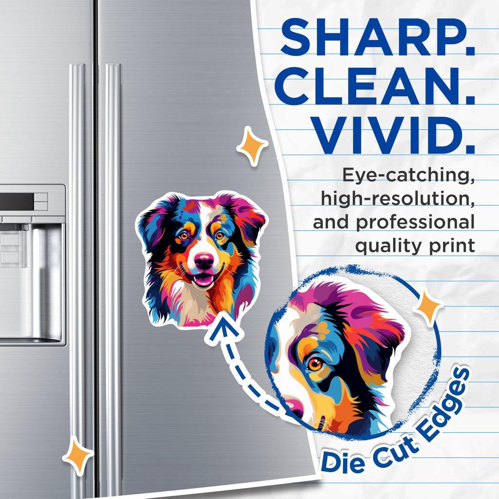 (2 Pack) Australian Shepherd Dog Breed Magnets - 5 Inches On Longest Side - Choose from Over 100 Dog Breeds - for Cars, Refrigerators, Toolboxes - Made in USA - MAG1761