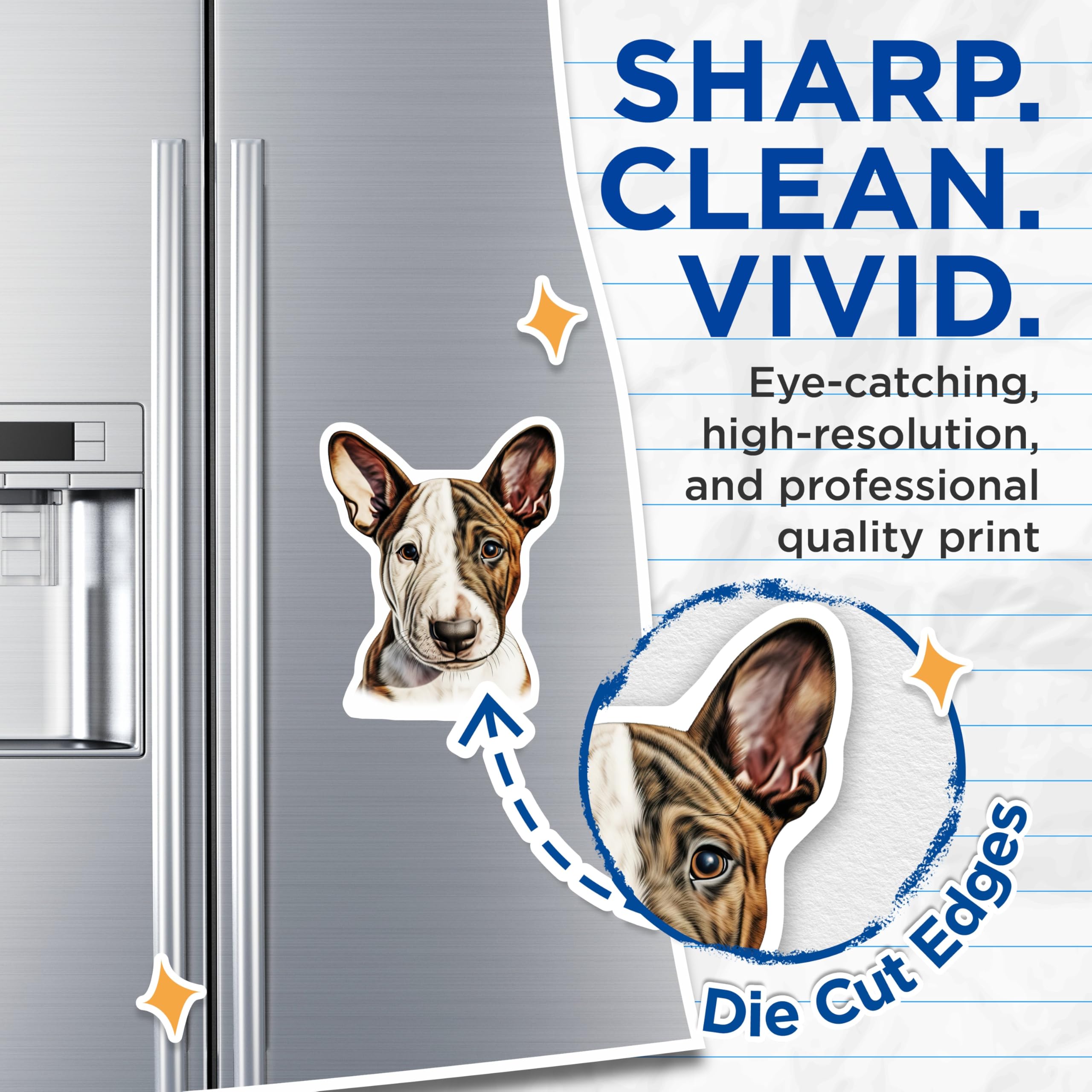 (2 Pack) Basenji Puppy Magnets - Dog Mom Decor - Fridge Locker Accessory - 5 Inches On Longest Side - Thick Durable Magnet - Made in USA - MAG25020