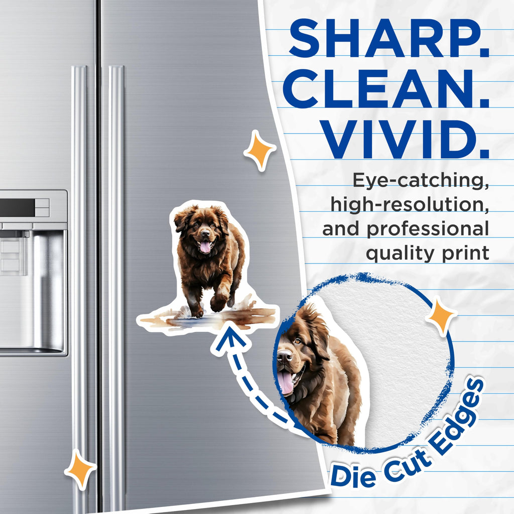 (2 Pack) Newfoundland Dog Magnets - Happy Dog Breed Decor - Fridge Magnets Set - 5" On Longest Side - Premium Magnet - for Cars, Refrigerators, Toolboxes, Lockers - Made in USA - MAG14620