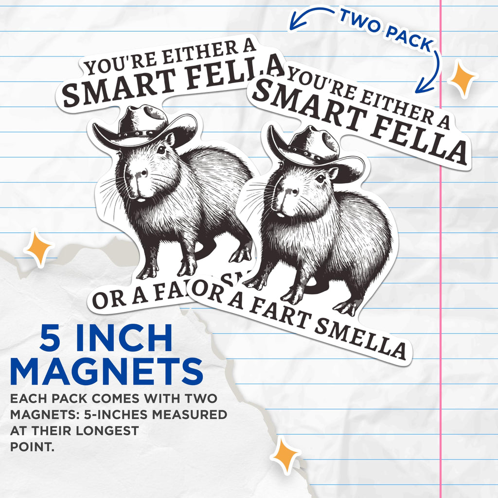 (2 Pack) You're Either A Smart Fella Or A Fart Smella Magnets - Funny Humor Comedy Magnet - 5 Inches On Longest Side - Premium Decal - for Cars, Refrigerators, Toolboxes - Made in USA - MAG2009
