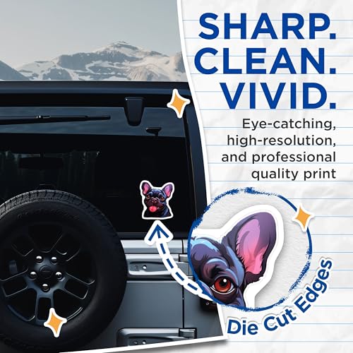 (2 Pack) French Bulldog Stickers - Cute Dog Stickers - Pet Lover Stickers - 5" On Longest Side - Sticks to Smooth Flat Surfaces - Made in USA - BMCS3938