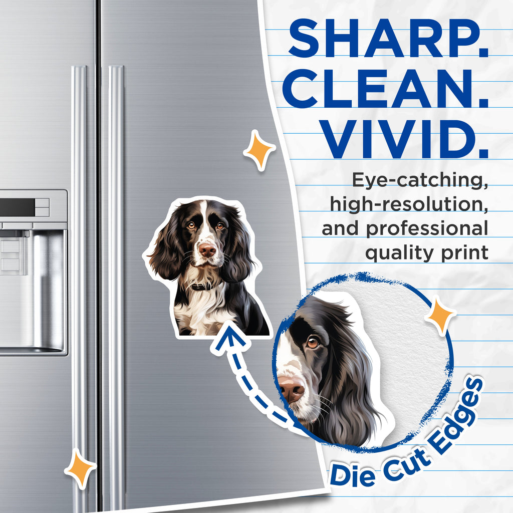 (2 Pack) Springer Spaniel Magnets - Detailed Dog Portrait Decor - Animal Lover Fridge Accent - Canine Owner Art Display - 5 Inches On Longest Side - Thick Durable Magnet - Made in USA - MAG37019