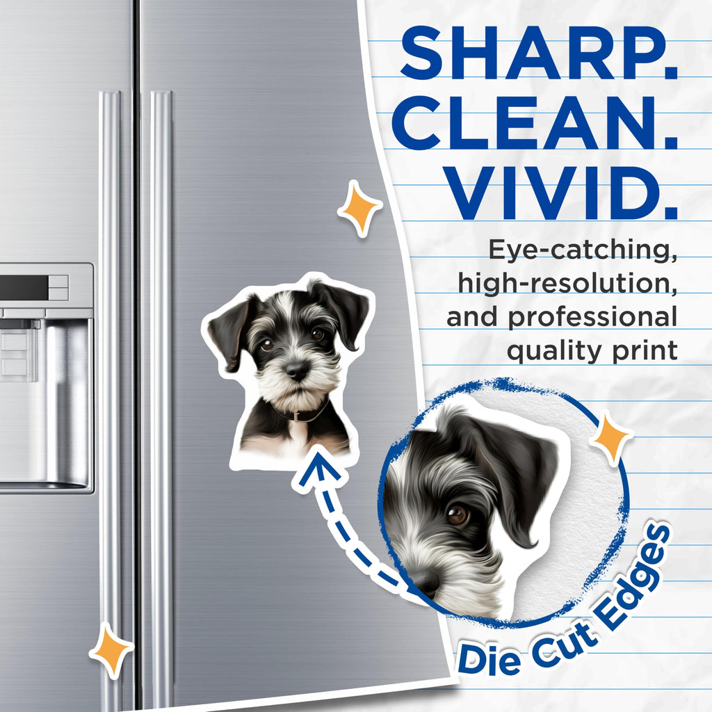 (2 Pack) Cute Schnauzer Puppy Magnets - Dog Lover Kitchen Decor - Pet Parent Refrigerator Accessories - Animal Art Magnets - 5 Inches On Longest Side - Thick Durable Magnet - Made in USA - MAG30925