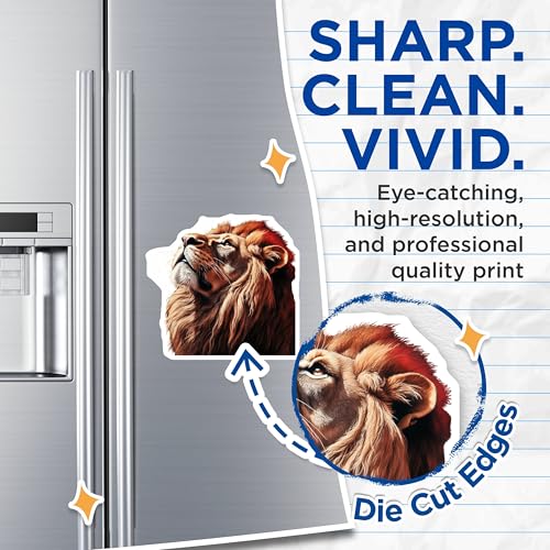(2 Pack) Lion Head Magnets - Animal Art - Wildlife - Safari Magnets - Big Cat - Animal Lovers - Wildlife Magnets - 5" On Longest Side - for Cars, Fridges, Toolboxes - Made in USA - MAG4264