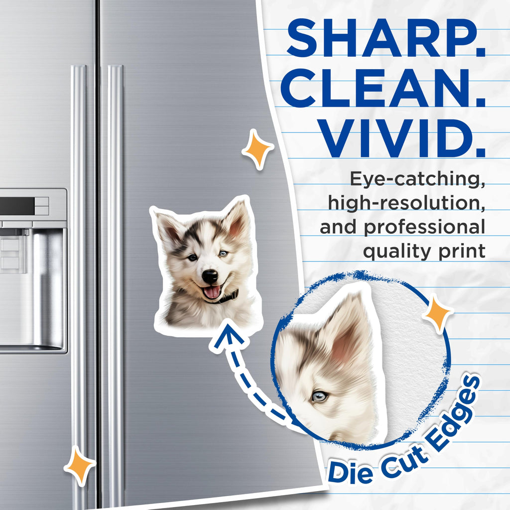 (2 Pack) Adorable Husky Puppy Magnets - Blue Eyed Dog Decor - Cute Pet Animal Fridge Accents - 5 Inches On Longest Side - Thick Durable Magnet - Made in USA - MAG30614