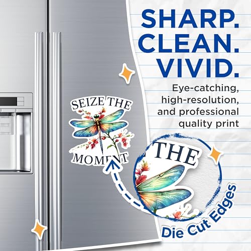 (2 Pack) Seize The Moment Magnets - Inspirational Dragonfly Magnets - Floral Design Decorative Magnets- 5" On Longest Side - for Fridges, Toolboxes, Cars - Made in USA - MAG2682