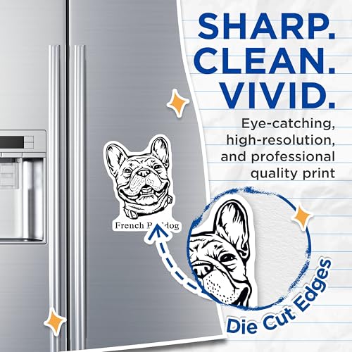 (2 Pack) French Bulldog Magnets - Dog Lover - Kitchen Fridge - Animal Refrigerator - Cute Pet - 5" On Longest Side - for Cars, Fridges, Toolboxes - Made in USA - MAG4013